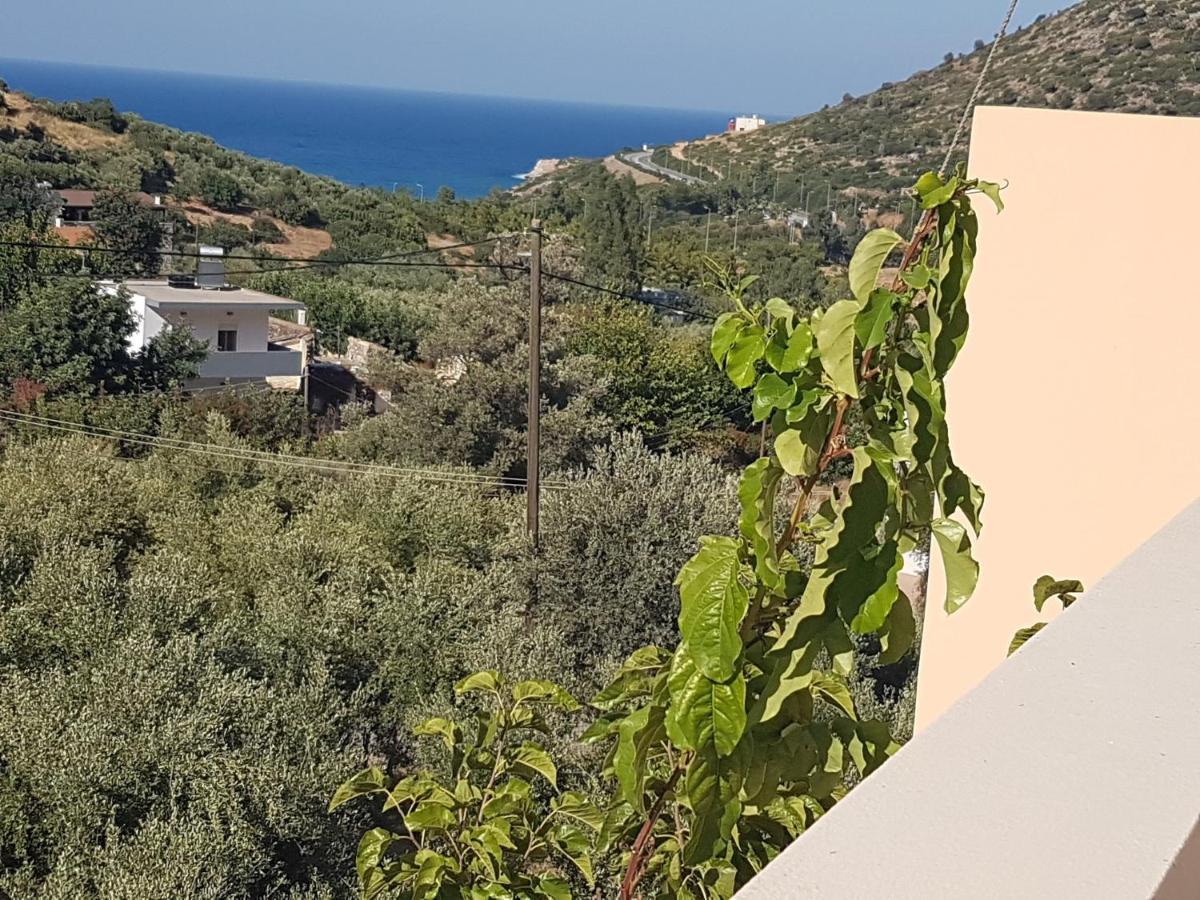 Sea Flower Villa Bali Crete Vlikhadha Exterior photo