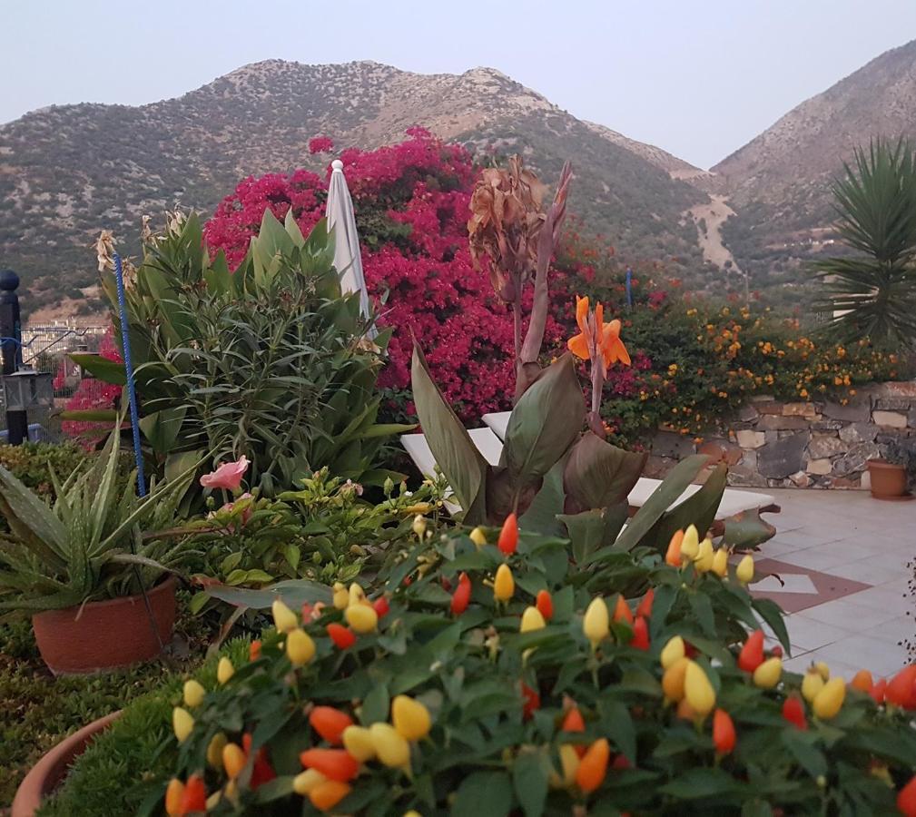Sea Flower Villa Bali Crete Vlikhadha Exterior photo