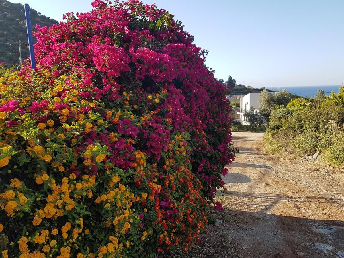 Sea Flower Villa Bali Crete Vlikhadha Exterior photo
